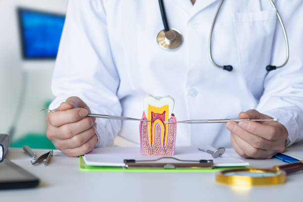 Best Urgent Care for Lost Fillings or Crowns in Hayfield, MN